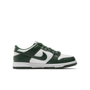 Nike Dunk Low Michigan State (GS) - dropout