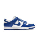 Nike Dunk Low SP Kentucky (2020) - dropout