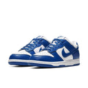 Nike Dunk Low SP Kentucky (2020) - dropout