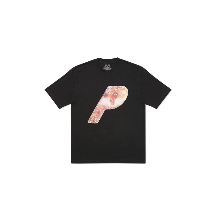 Palace Jam Fam T-Shirt Black - dropout