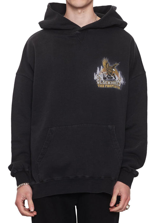 Soaring Eagle Hoodie - dropout